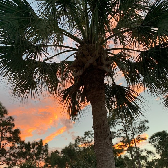 Meet your Posher, Danielle - Picture 1 of 1